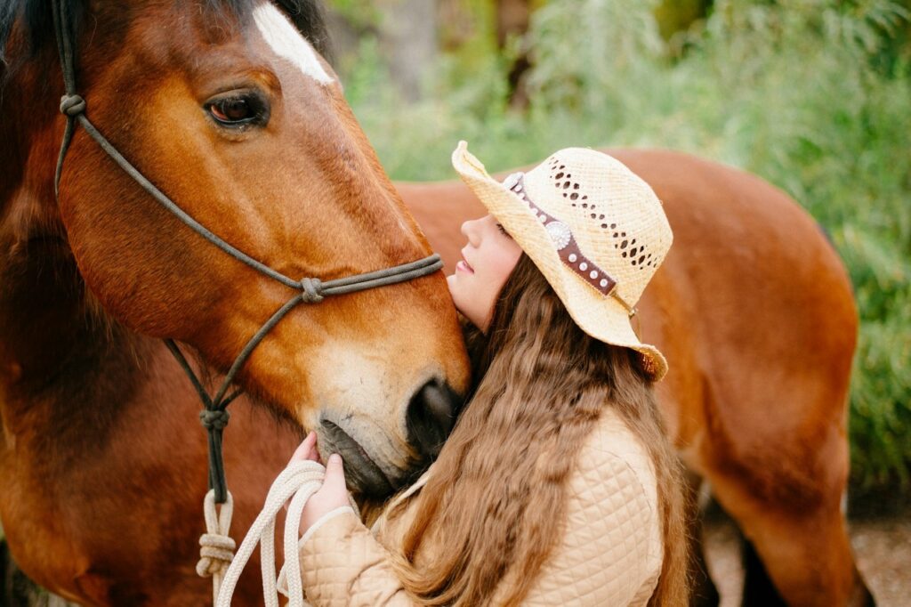 horse bond