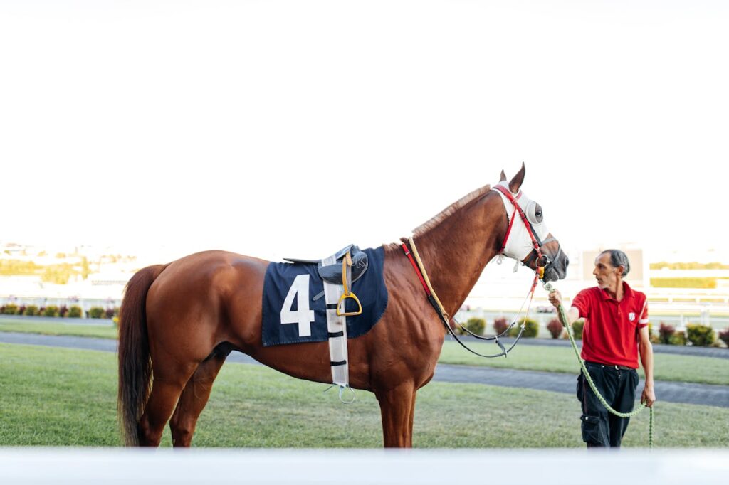 Thoroughbred