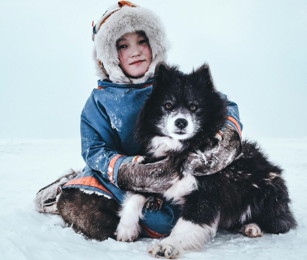 Finnish Lapphund