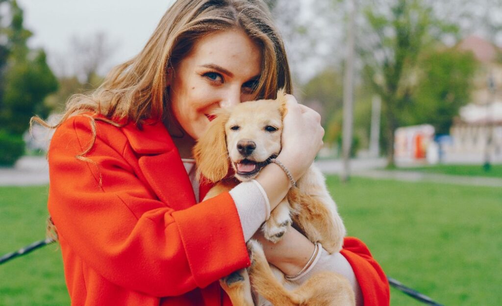 Golden Retriever Puppy