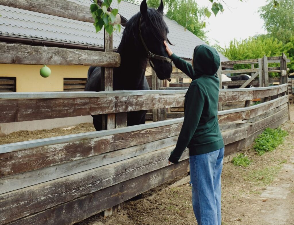 Horse responding upon summon