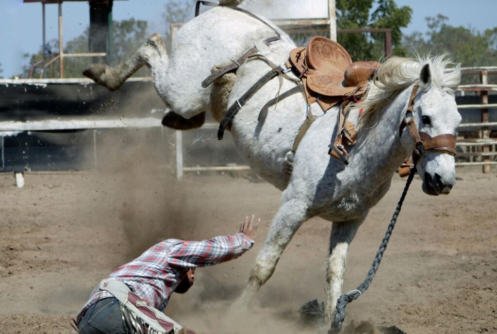 Impatient Horse Trainer