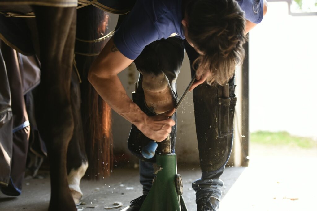 Farrier trimming horse hooves in stable setting