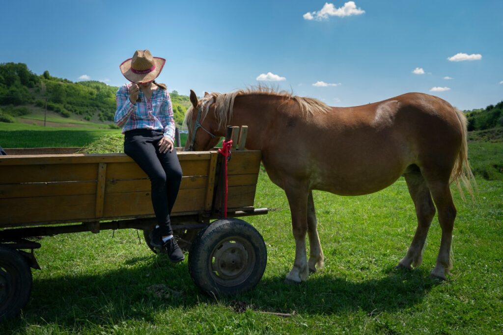Person sitting on wagon beside a horse