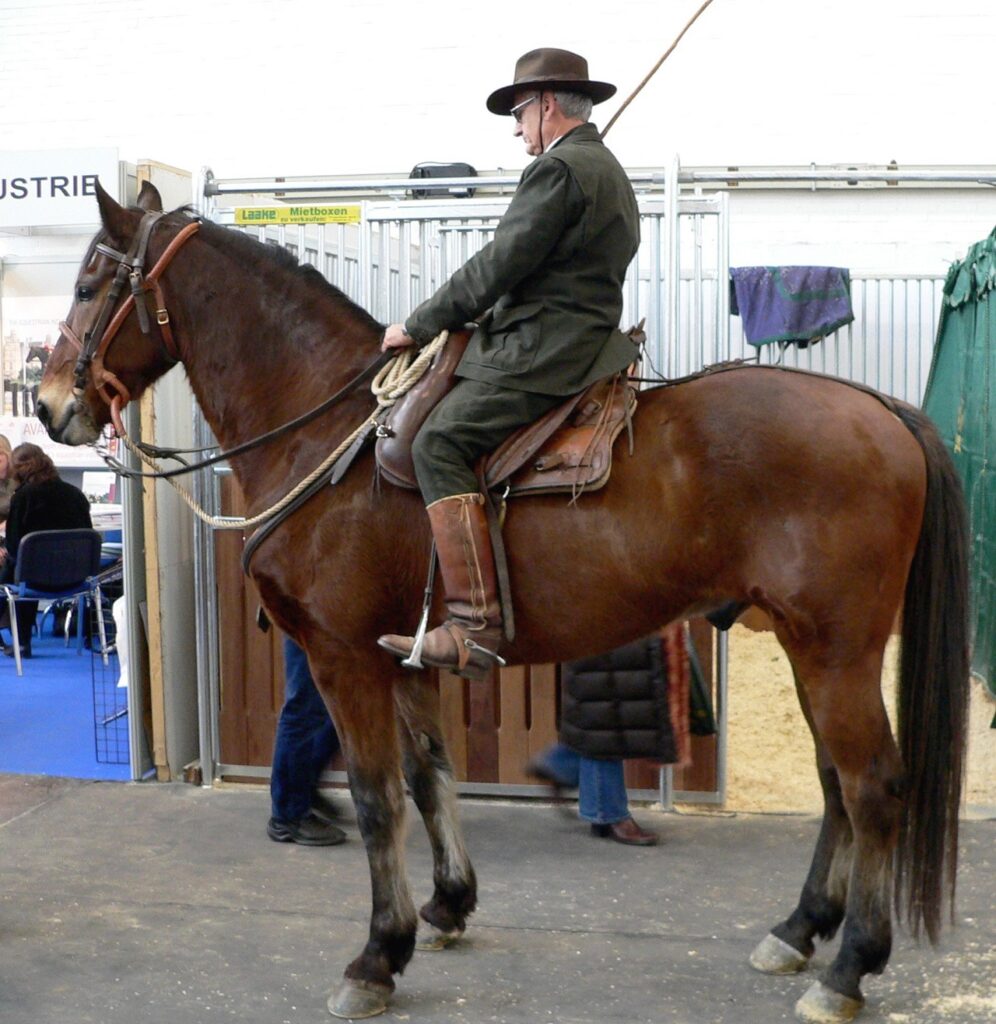 Marmemmano horse