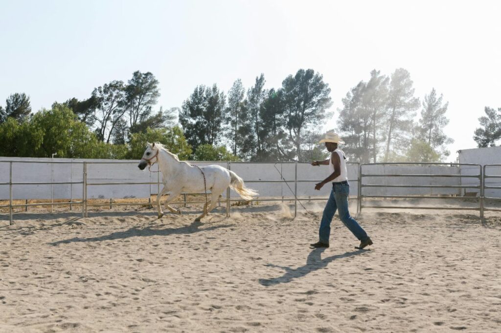 Horse following target