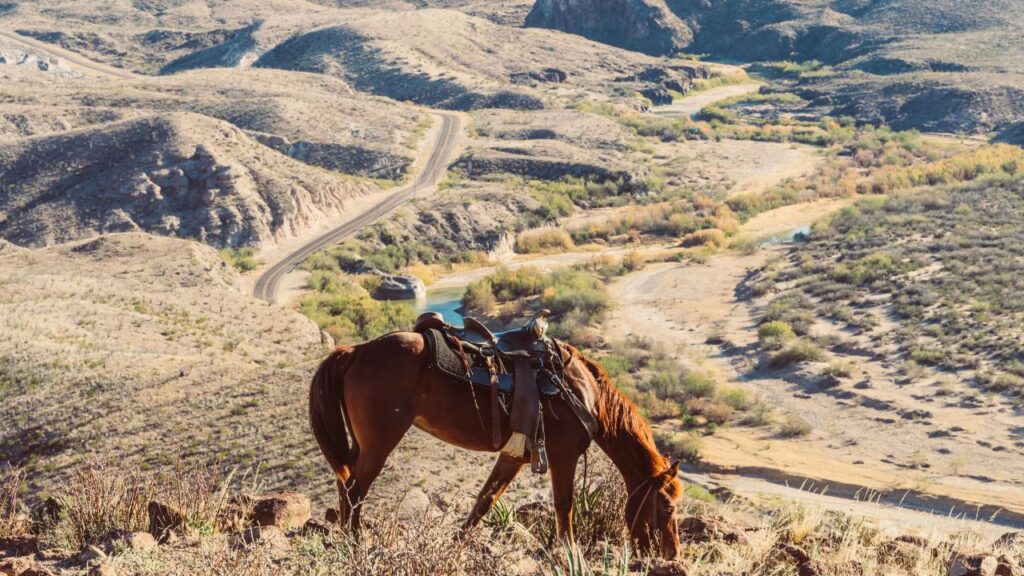 Big Bend National Park, Texas(Horse Riding)