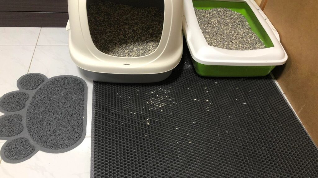 Cat Litter mat