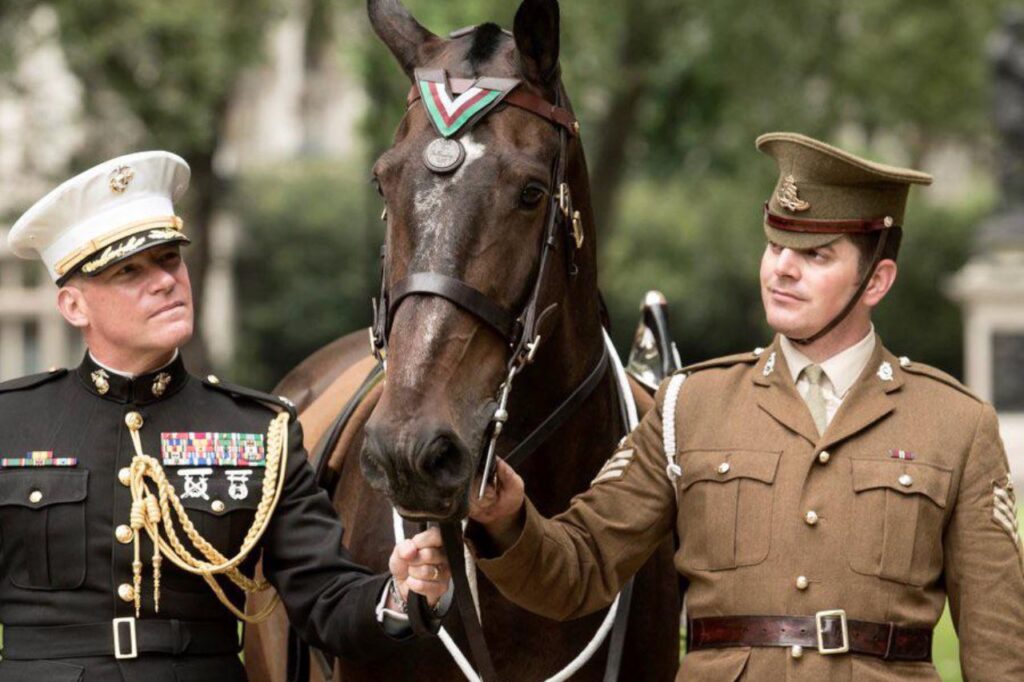 Horse winning medal