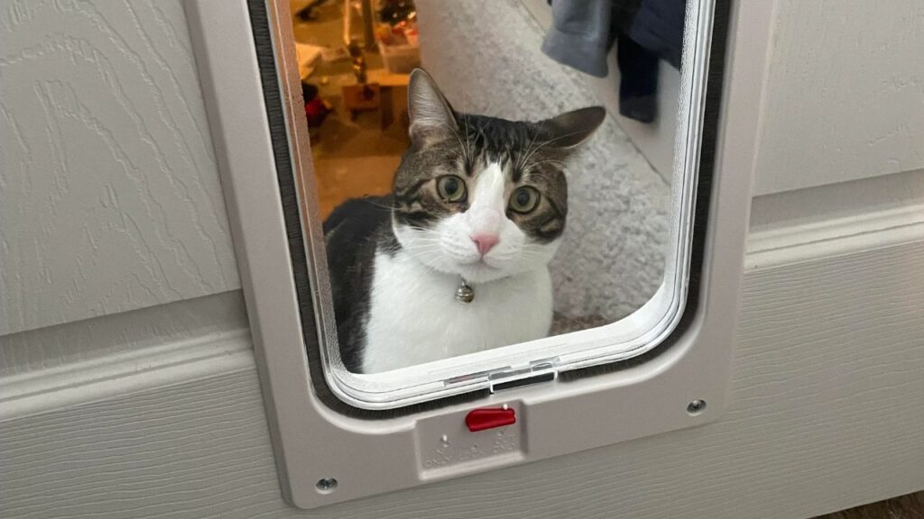 Cat Flap (Smart pet door)