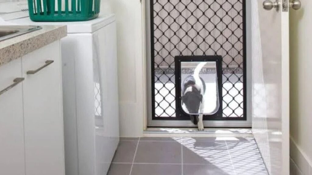 Smart pet door