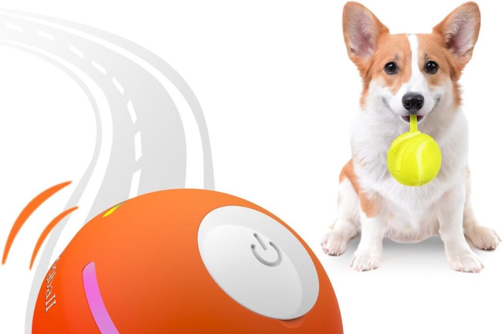 Dog toy