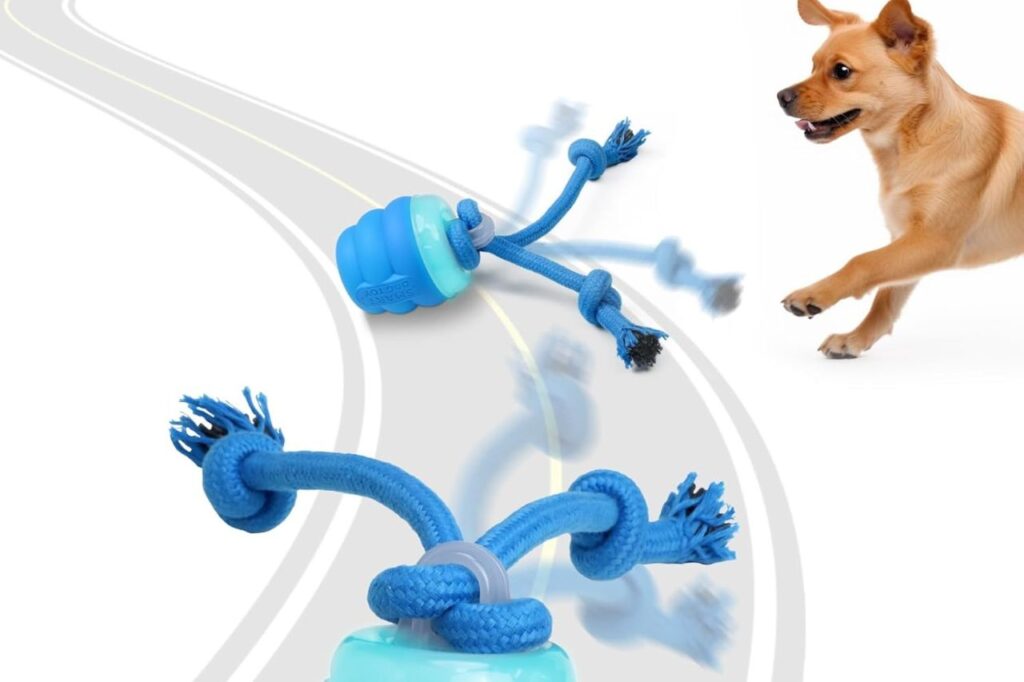 Dog toy