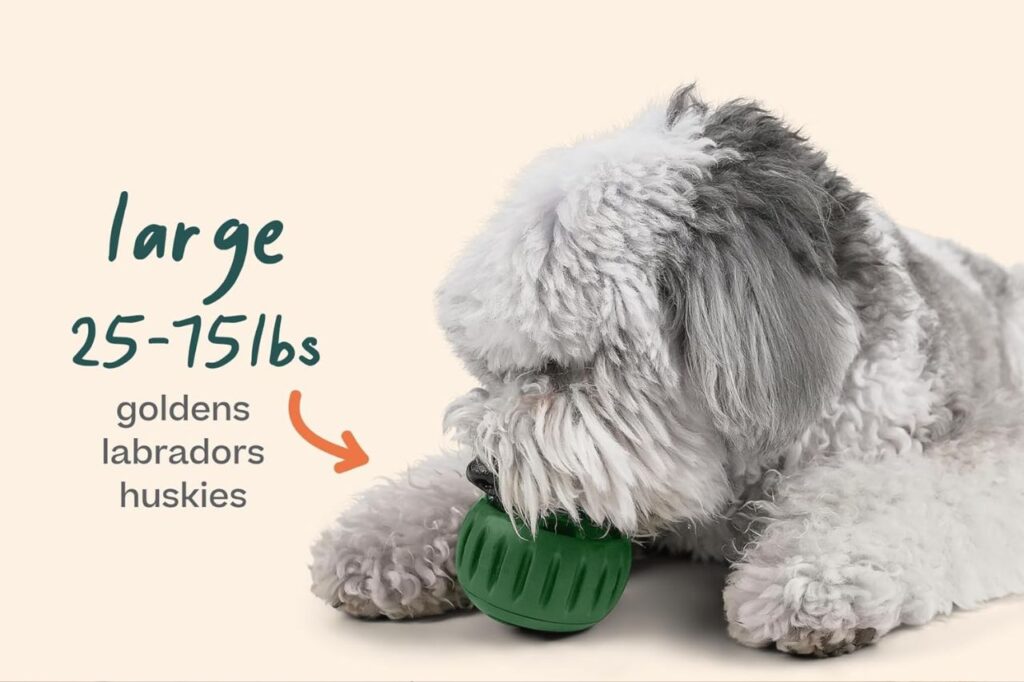 Dog toy