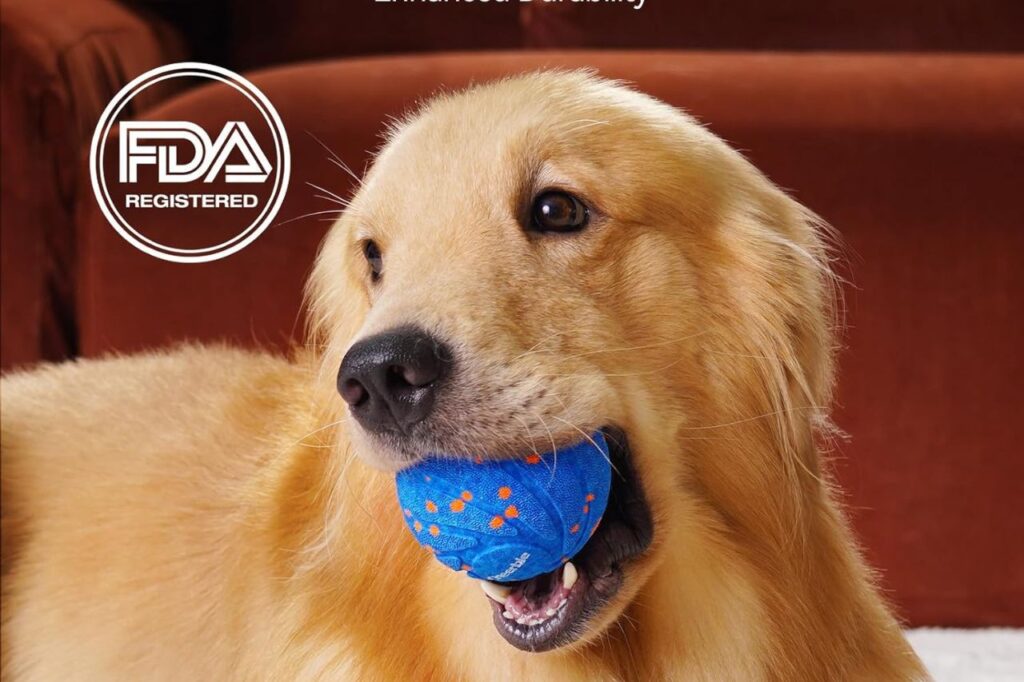 Dog toy