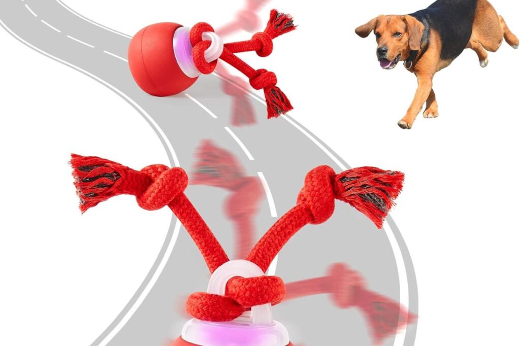 Dog toy