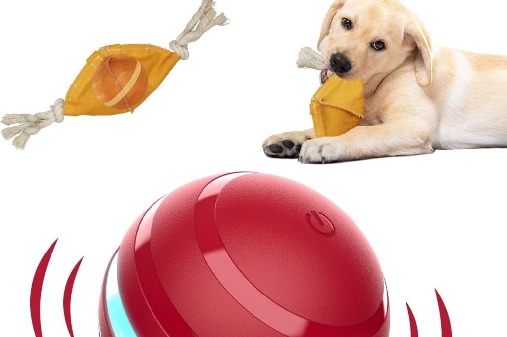 Dog toy