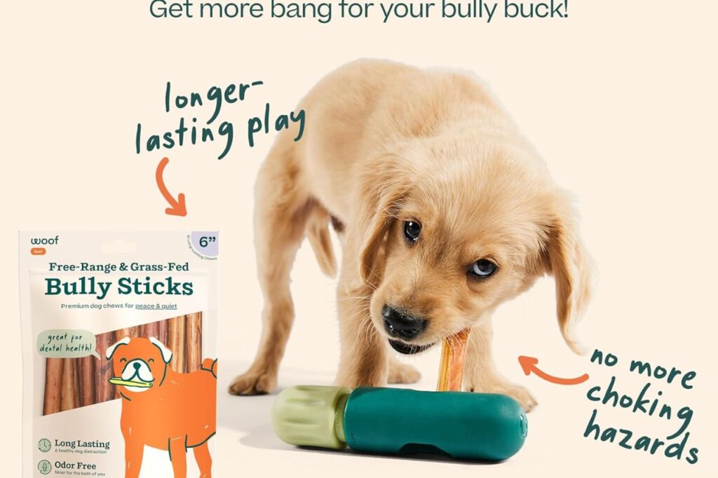 Dog toy