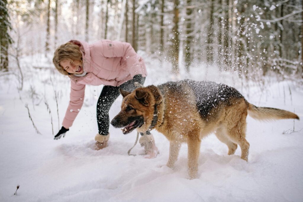 German Shepherd in the snow with a family member