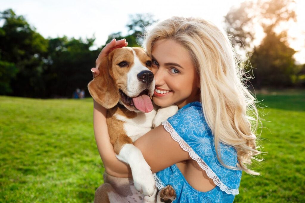 beagle dog with woman