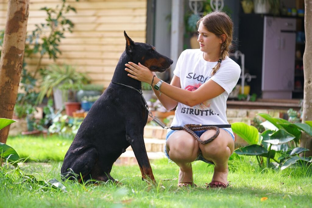 doberman
