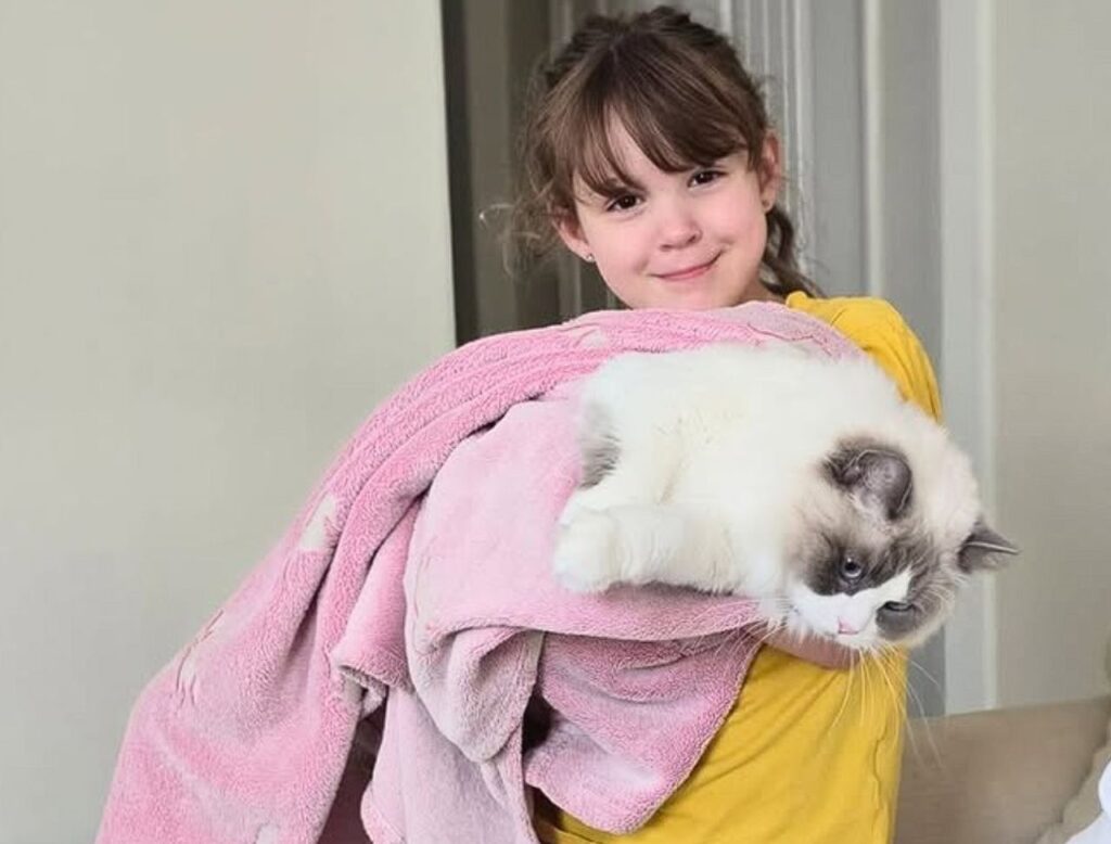 child holding ragdoll