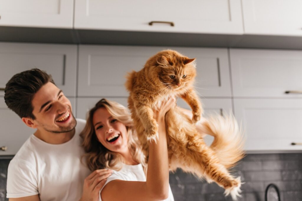 Cat with owners