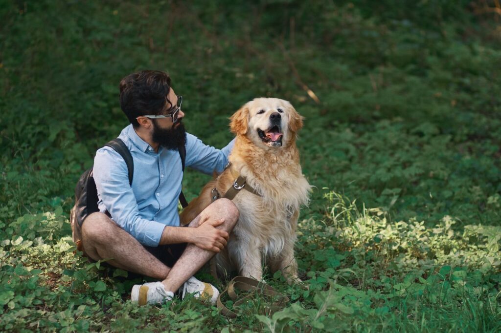 golden retriever resting with person