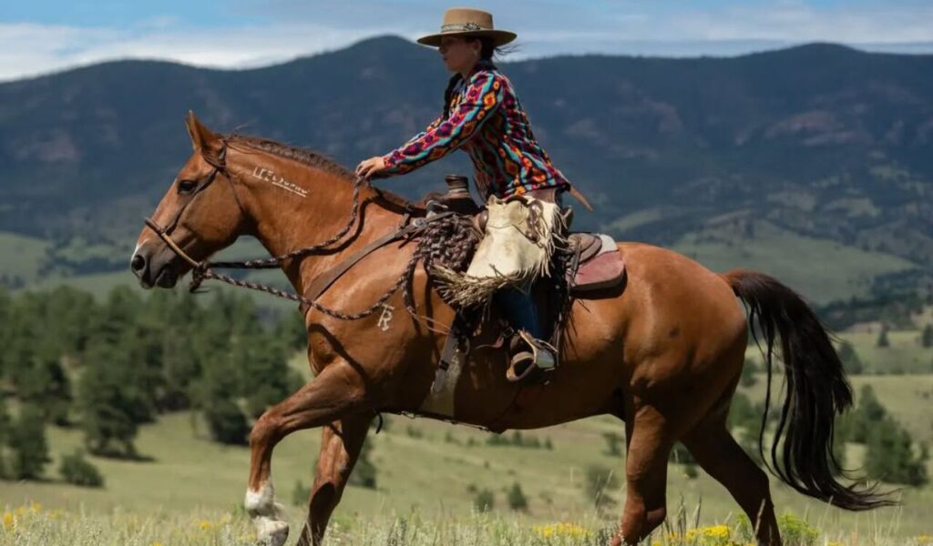 A rider in a colorful jacket and cowboy hat galloping a Mustang across open terrain.