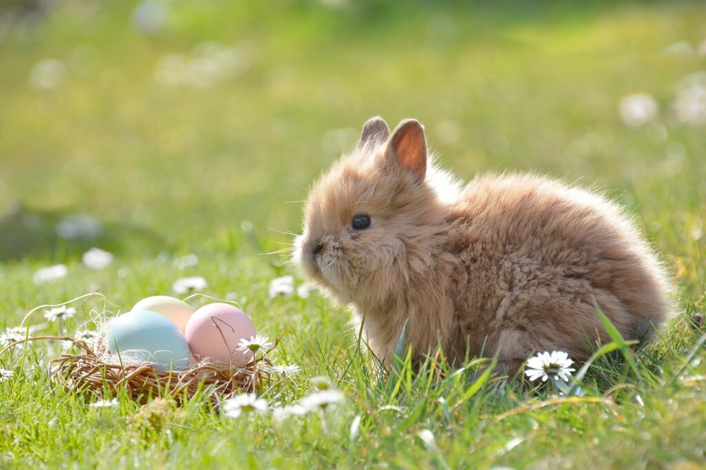 Cute Bunny in an Easter setting