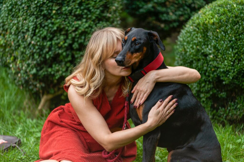doberman 
