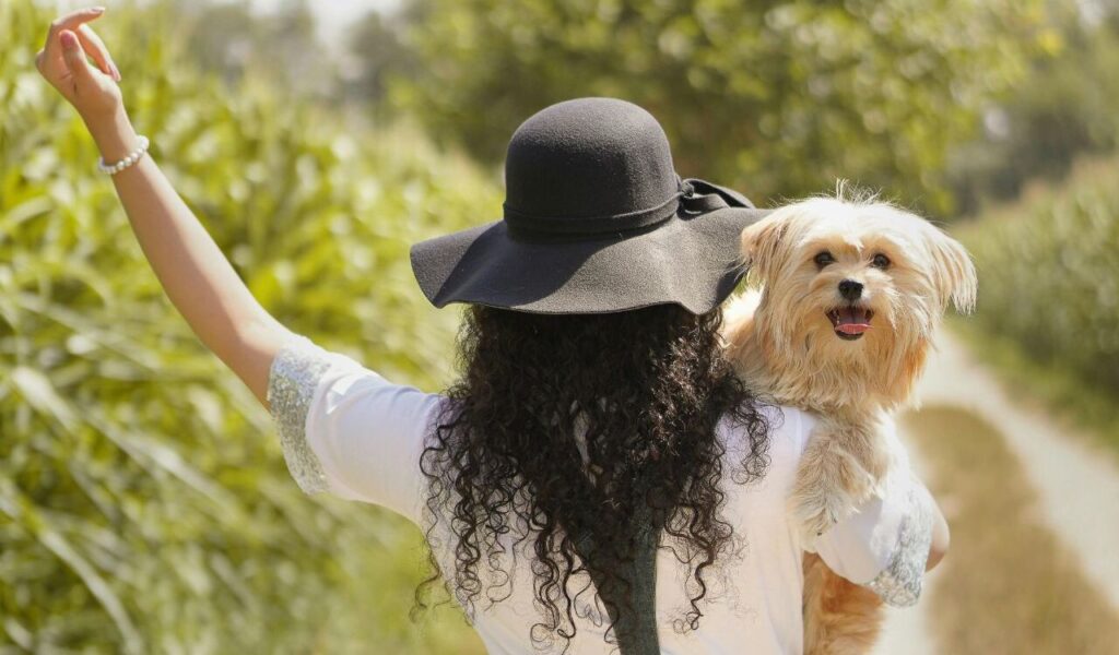 A woman in a black hat carrying a smiling Havanese dog on a sunny path.