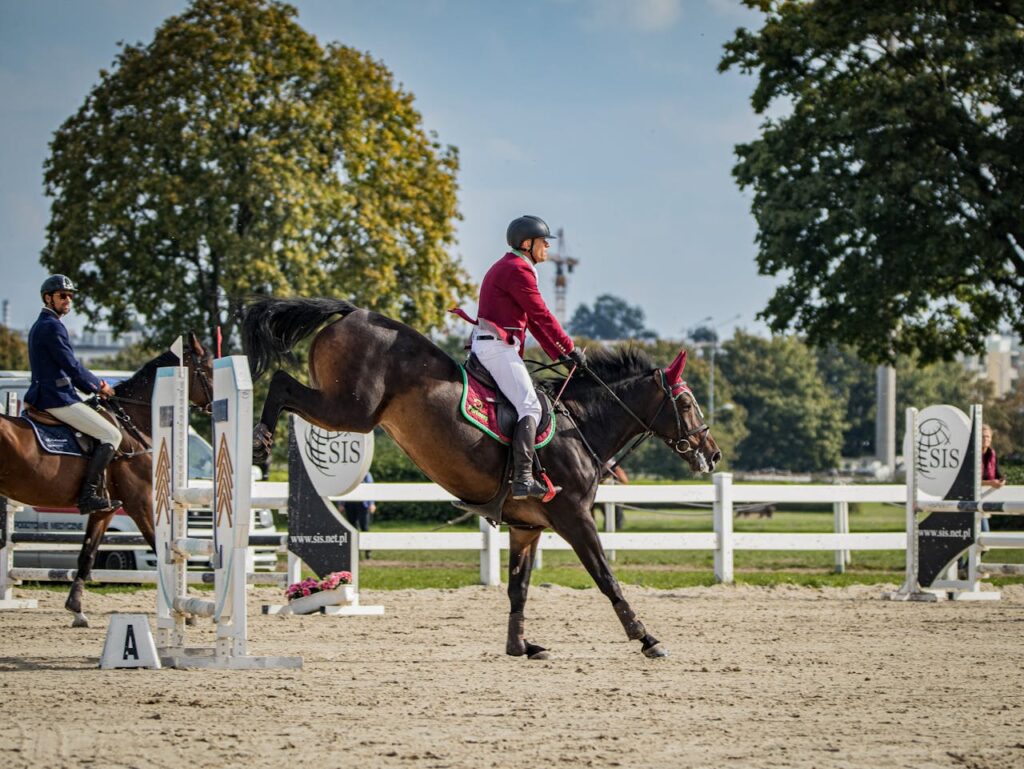 Horse Sport