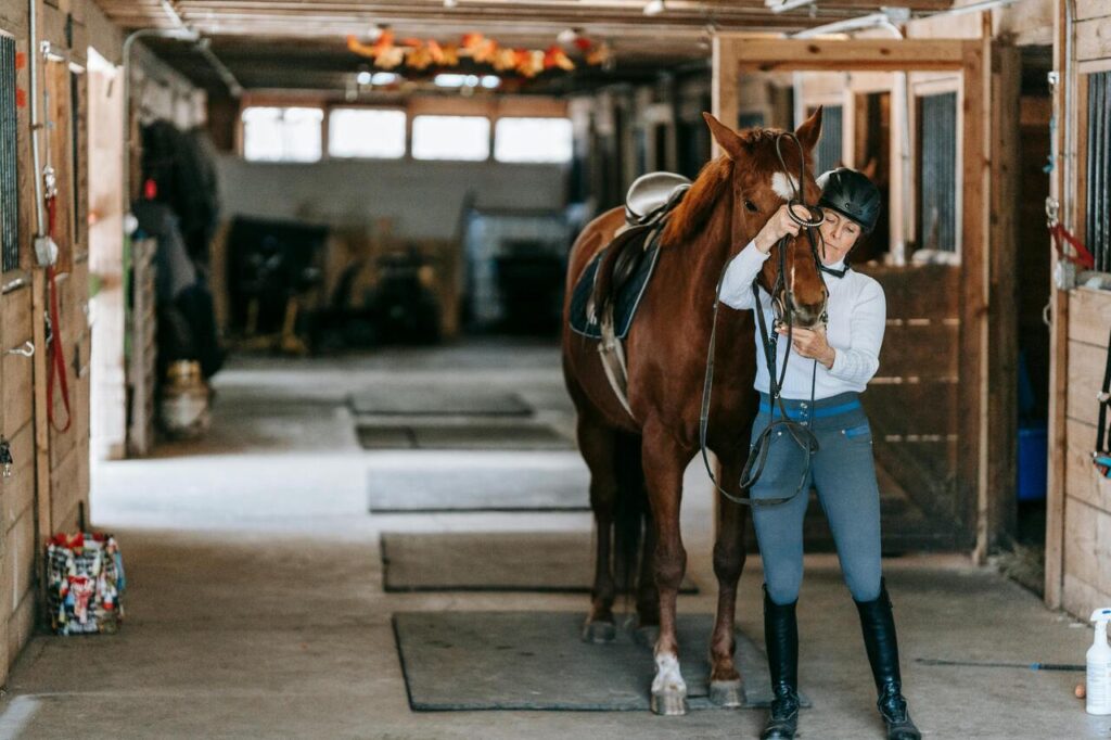 horse