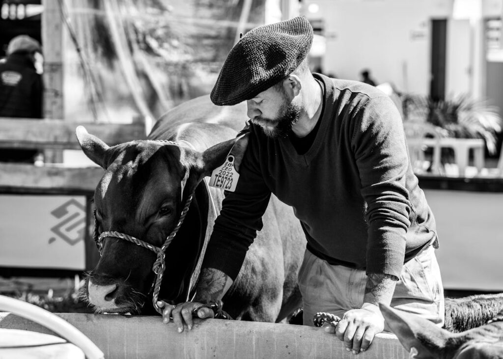 Cowboy with Cow in Black and White