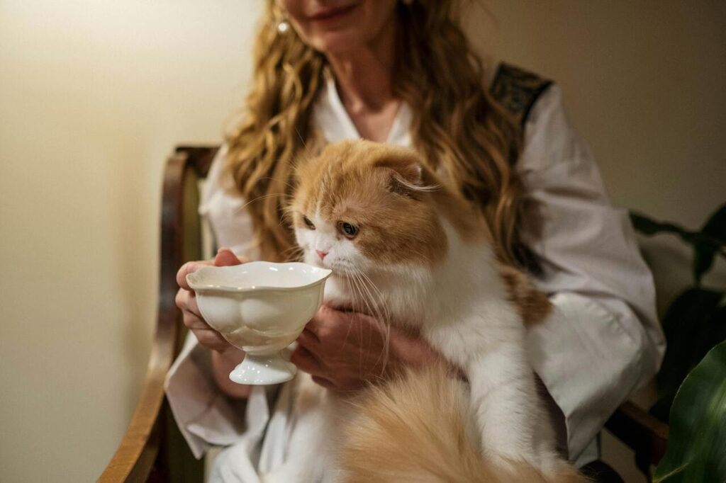 Persian