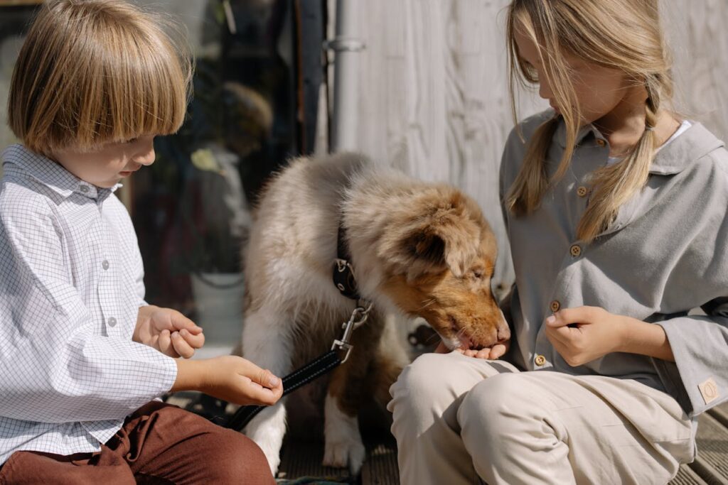 dog eating