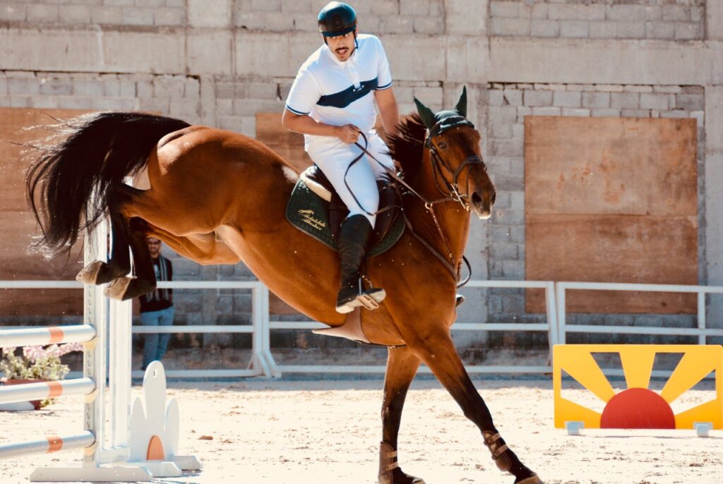 10 Reasons Arabian Horses Aren’t the Best Choice for Every Rider