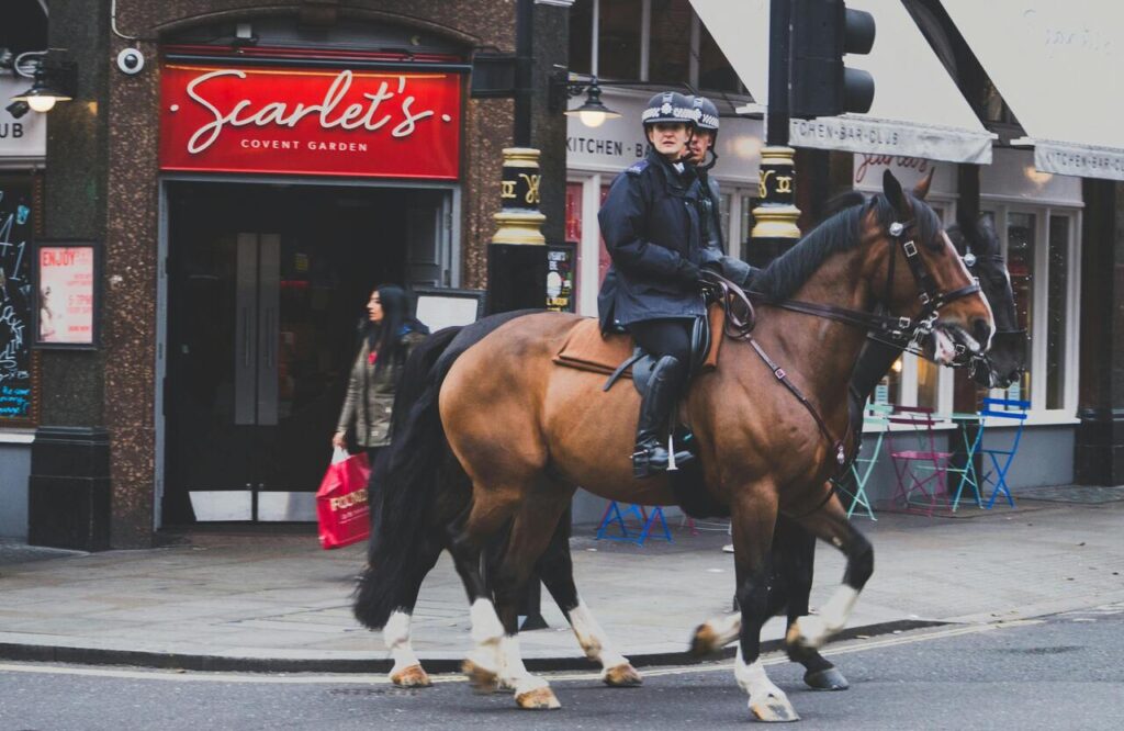 horse police