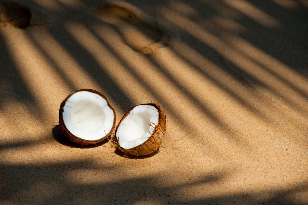 bird eating coconut