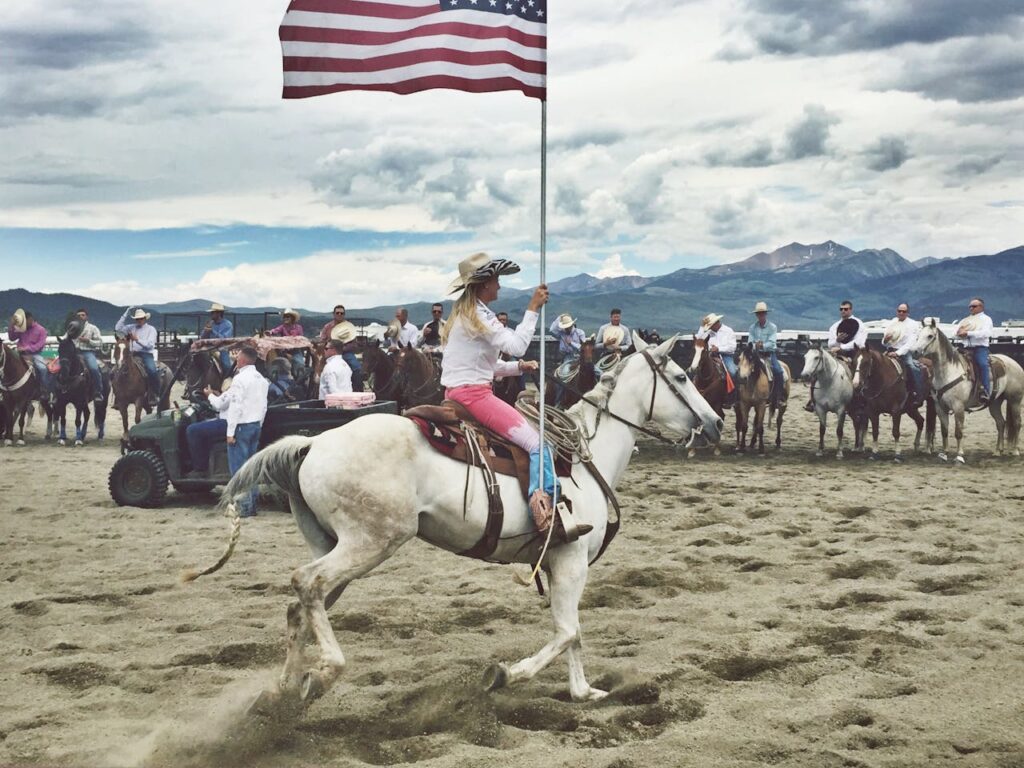 US cavalary horses