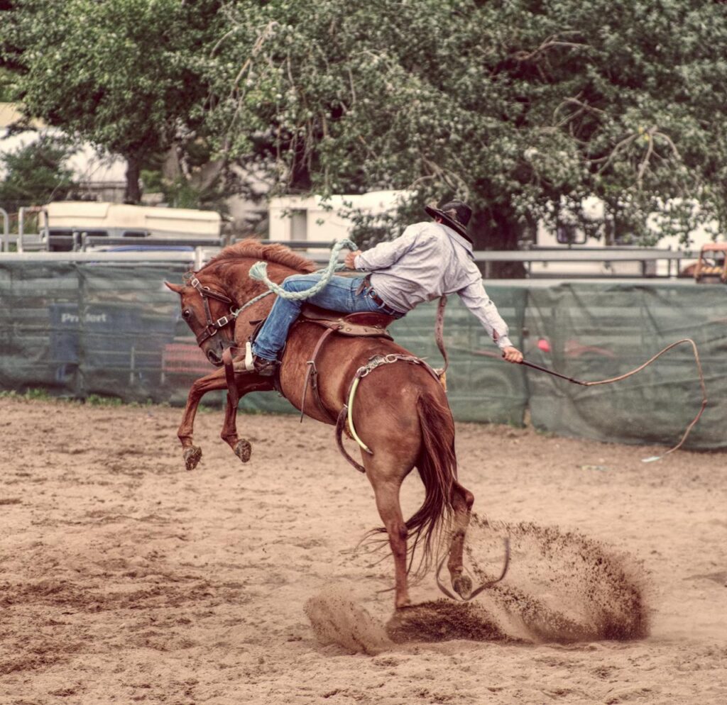 bucking horse