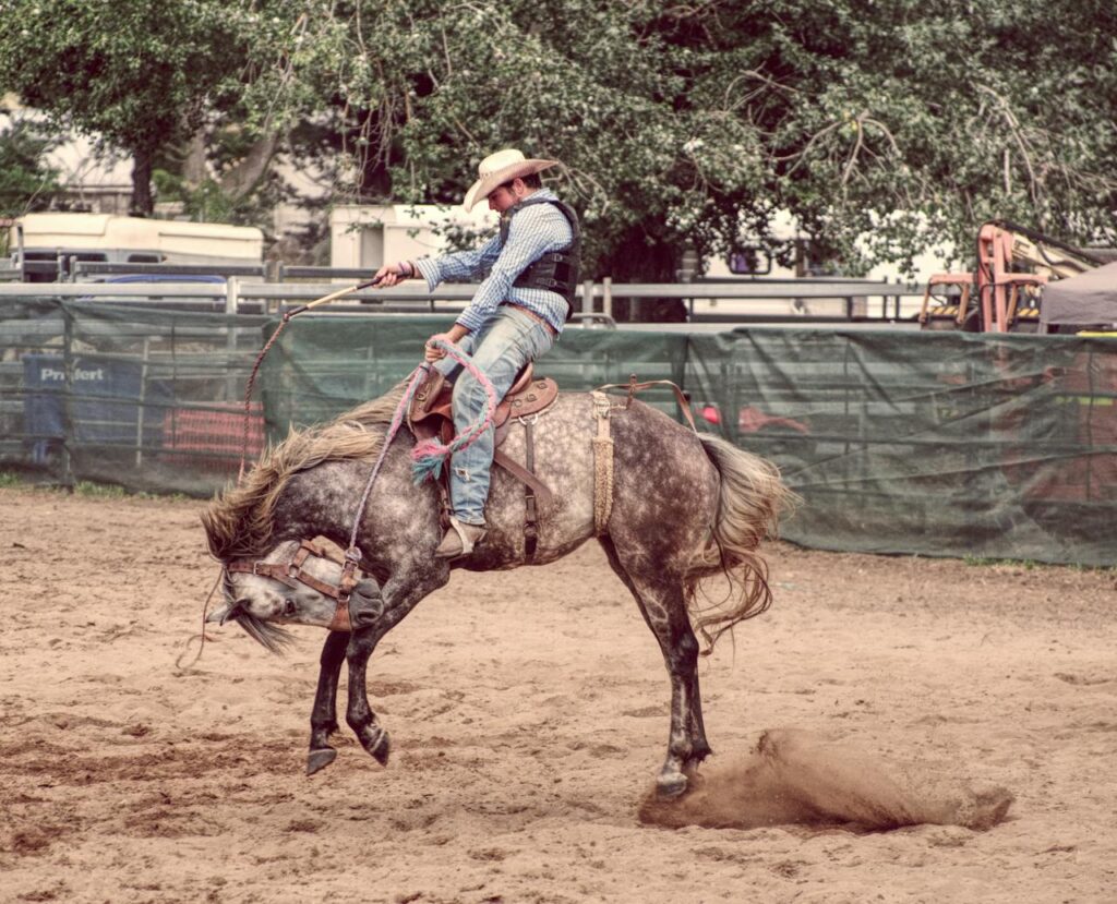 horse bucking