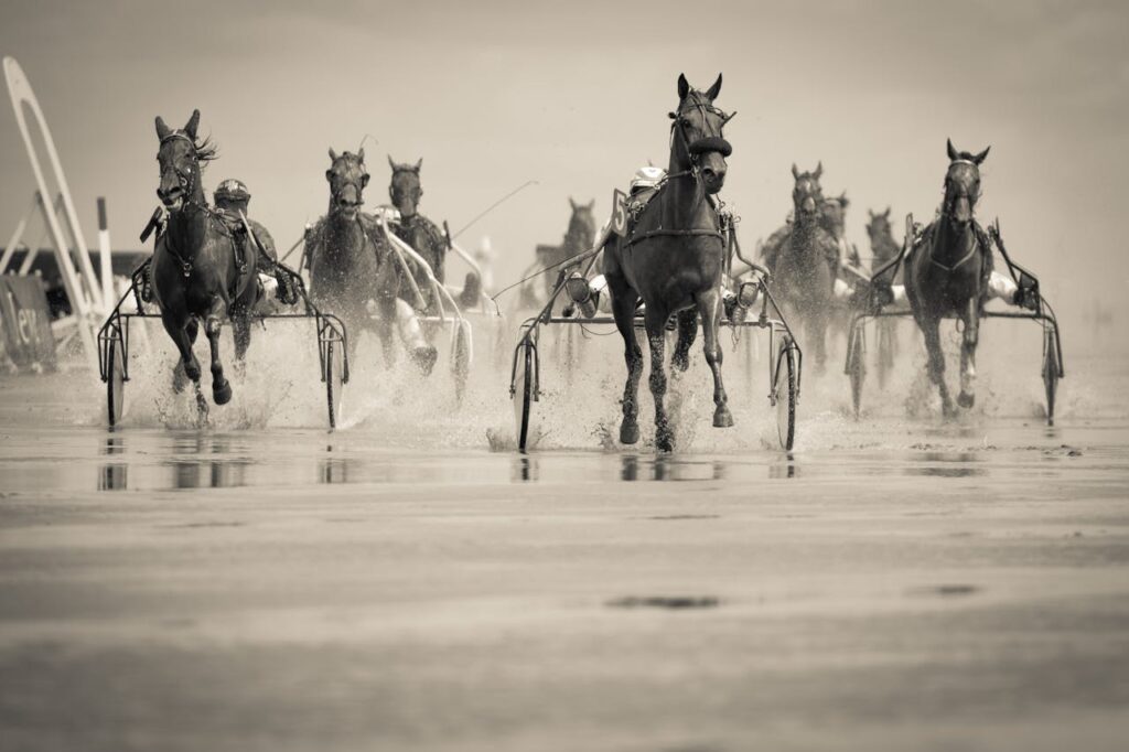 Horse Racing