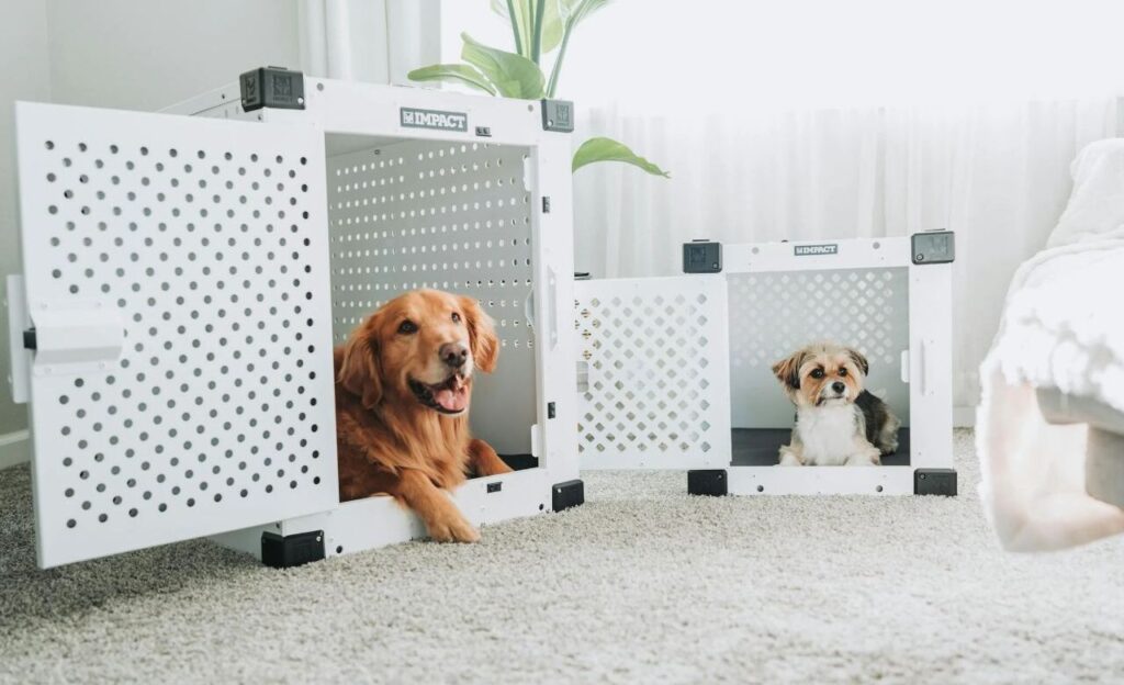 Dogs Relaxing at Home