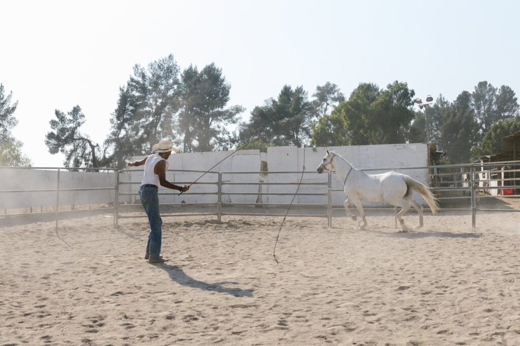 Harsh horse training