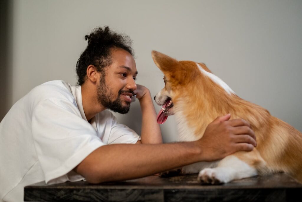 17 Incredible Dog Behaviors That Show They Truly Understand Us