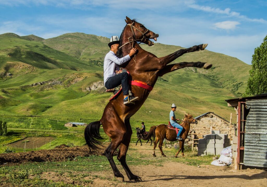 horse