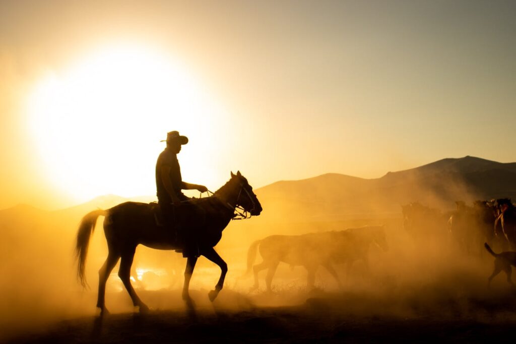 horses expanding america