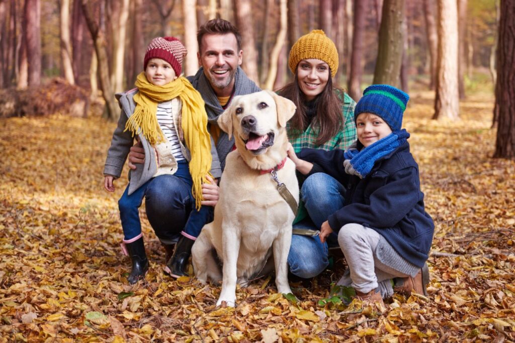 dog with family in park